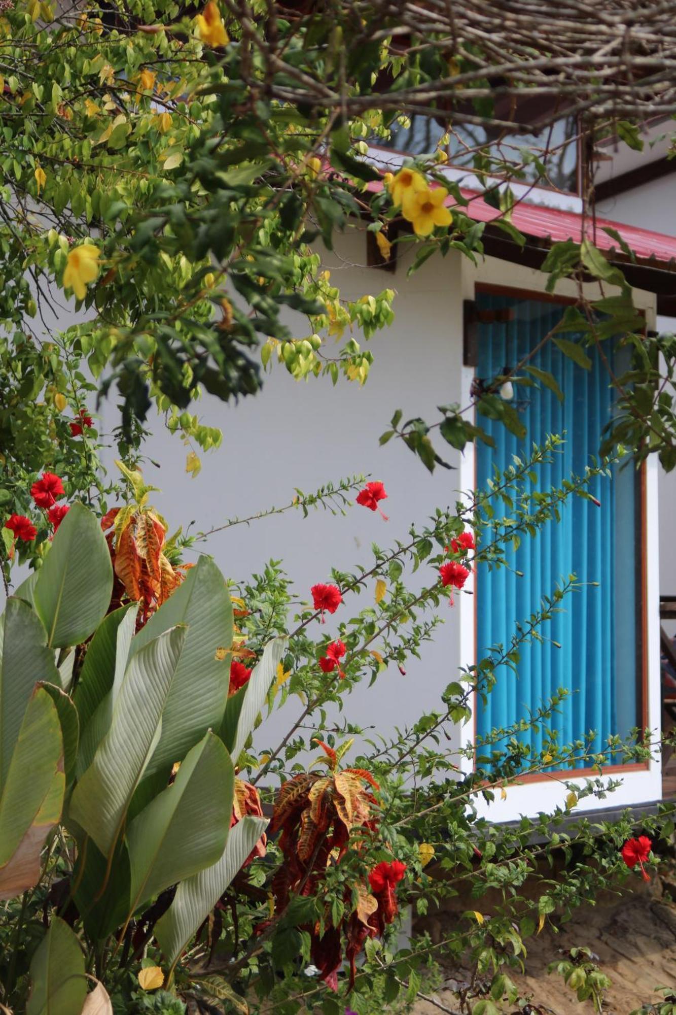 Hacienda Don Vicente Bungalows-Tarapoto Exterior photo
